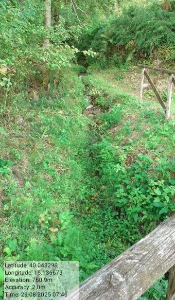 Galleria Fotografica Immagine