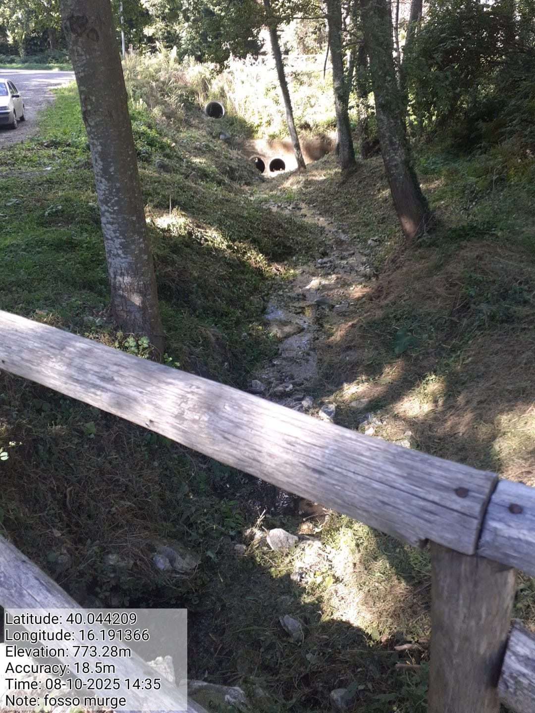 Galleria Fotografica Immagine