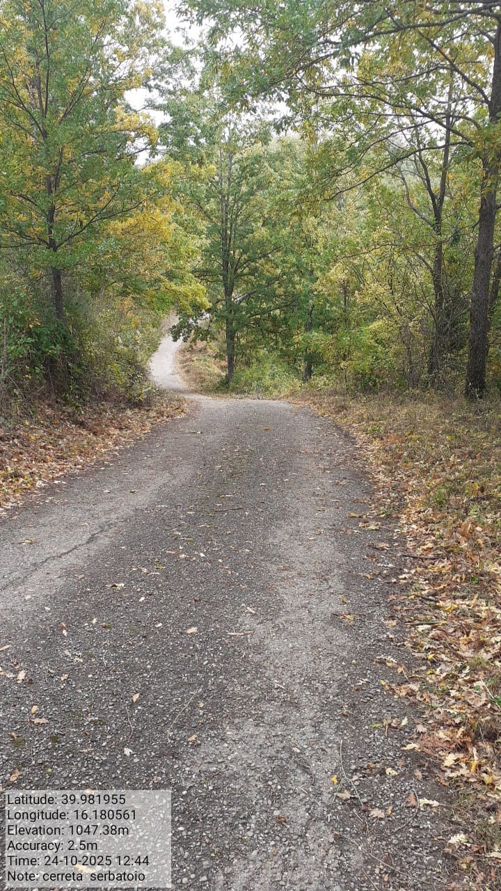 Galleria Fotografica Immagine