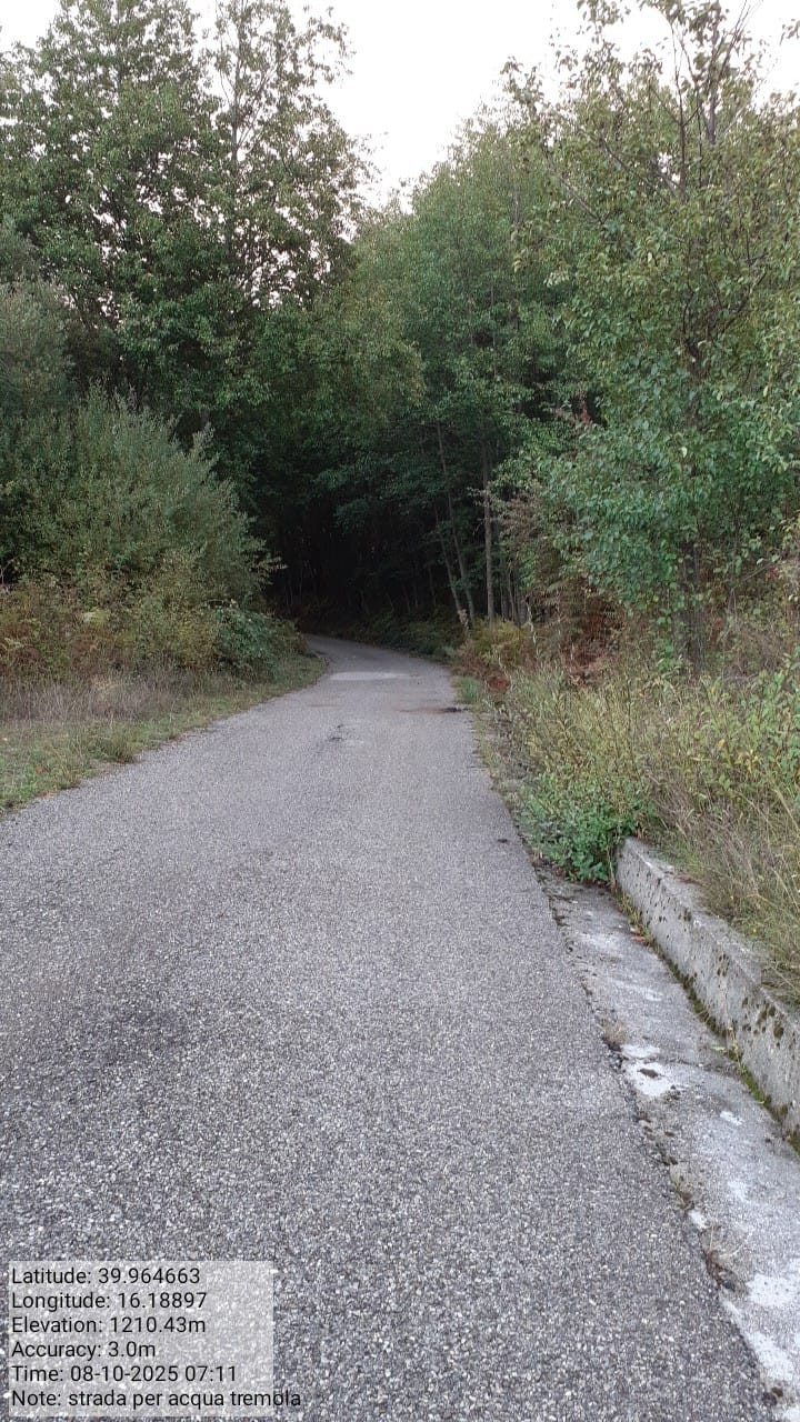 Galleria Fotografica Immagine