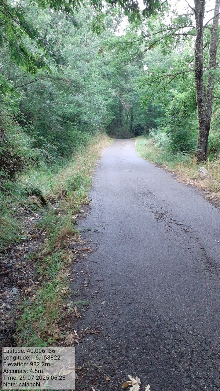 Galleria Fotografica Immagine