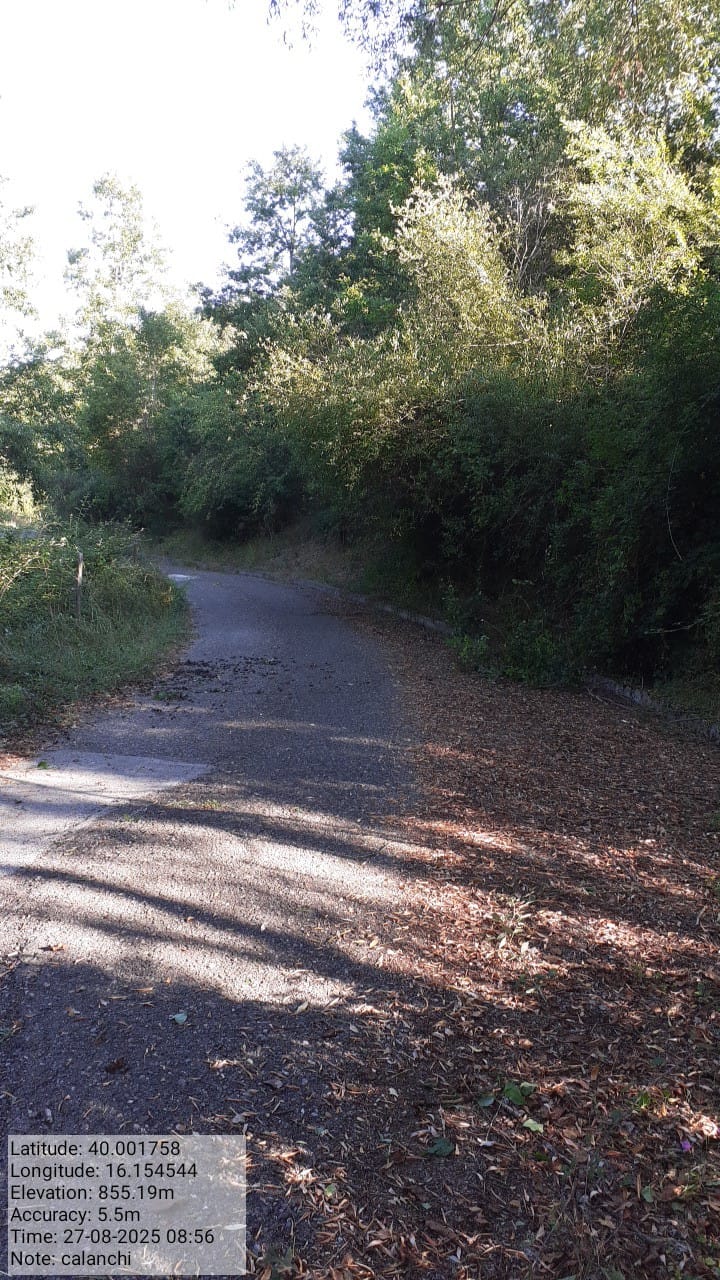 Galleria Fotografica Immagine