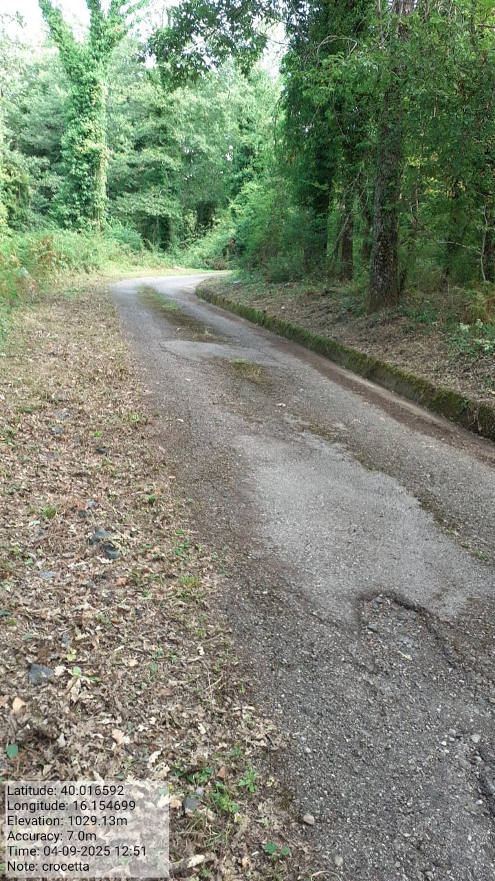 Galleria Fotografica Immagine