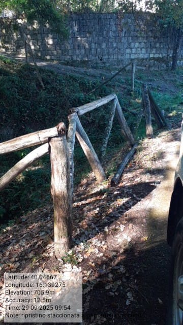 Galleria Fotografica Immagine