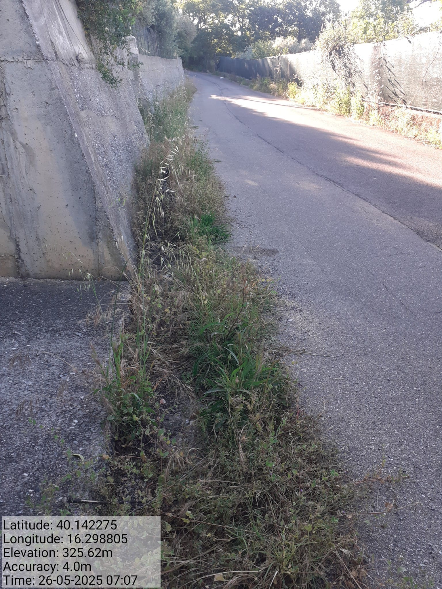 Galleria Fotografica Immagine