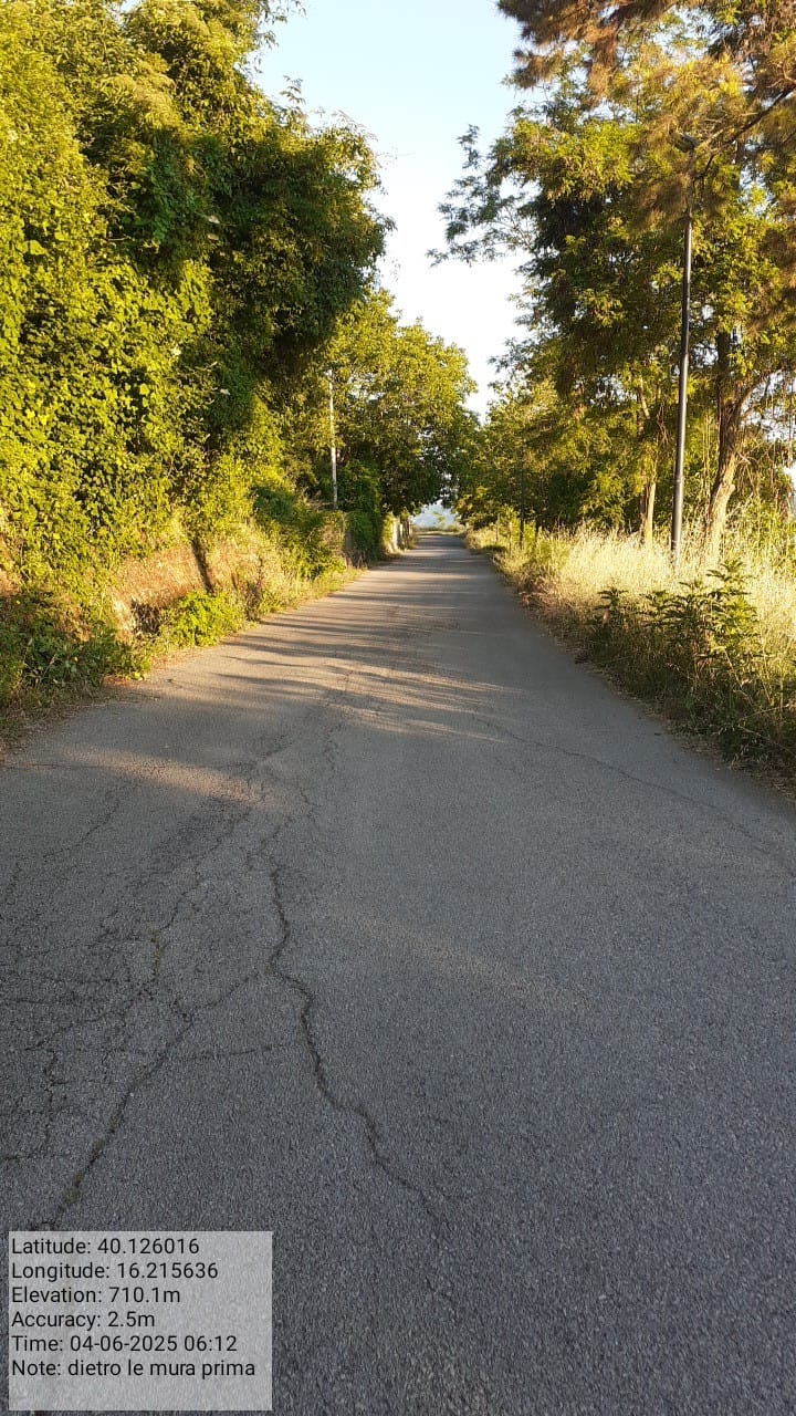 Galleria Fotografica Immagine