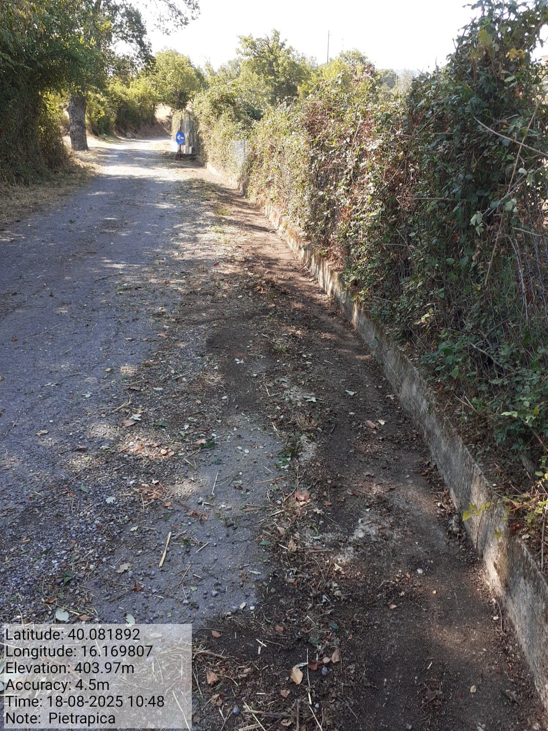 Galleria Fotografica Immagine