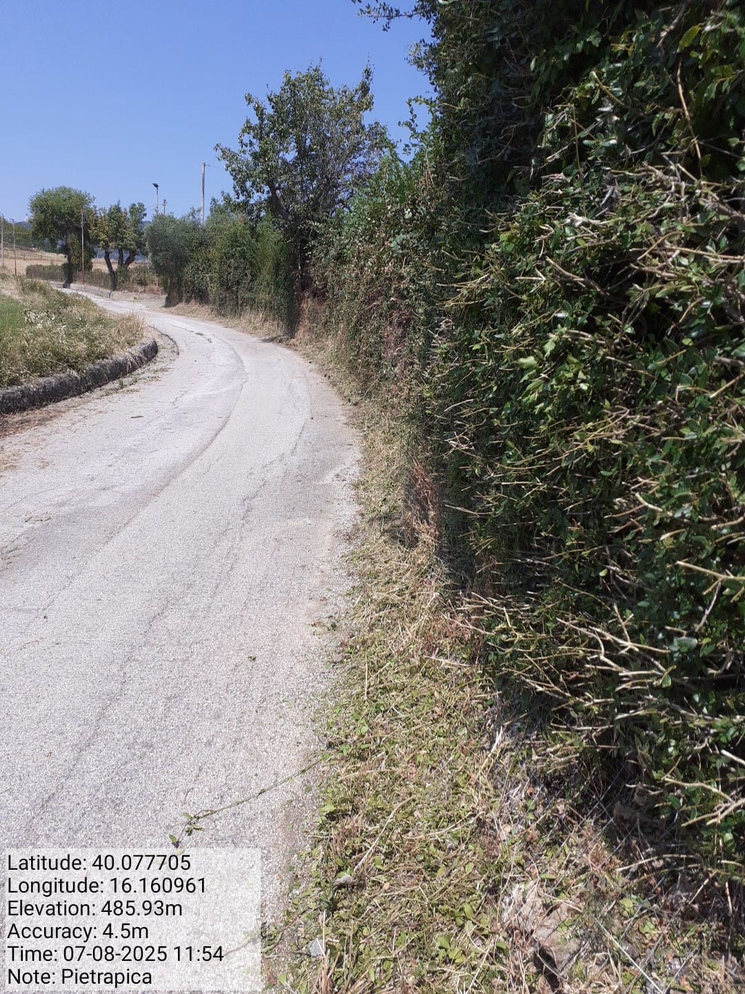 Galleria Fotografica Immagine