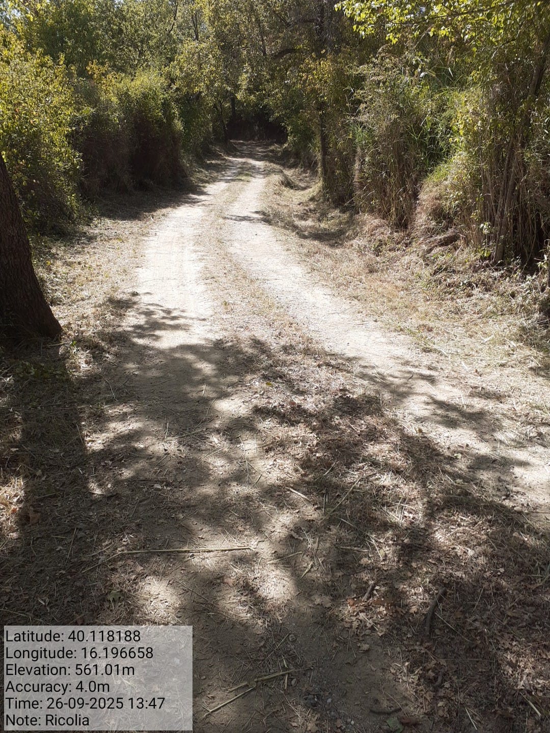 Galleria Fotografica Immagine