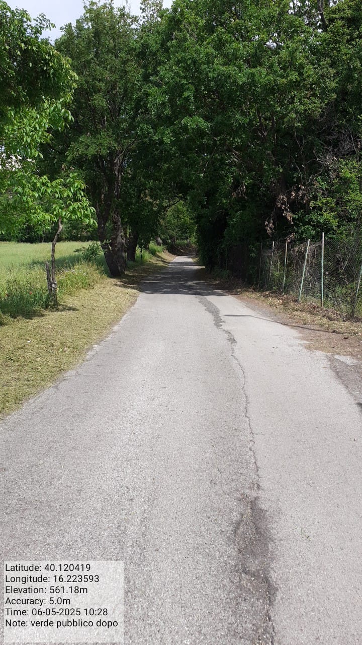 Galleria Fotografica Immagine