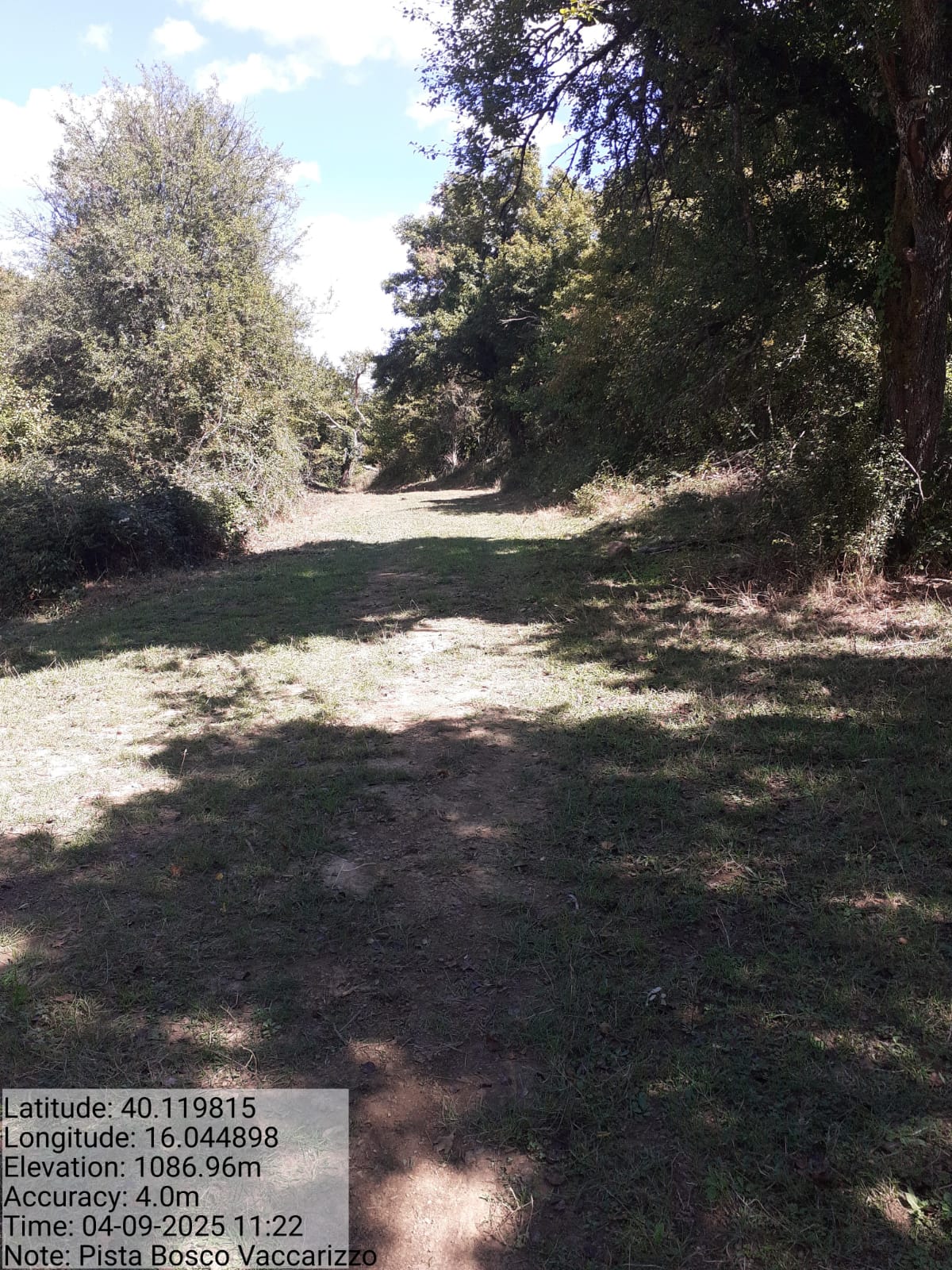 Galleria Fotografica Immagine