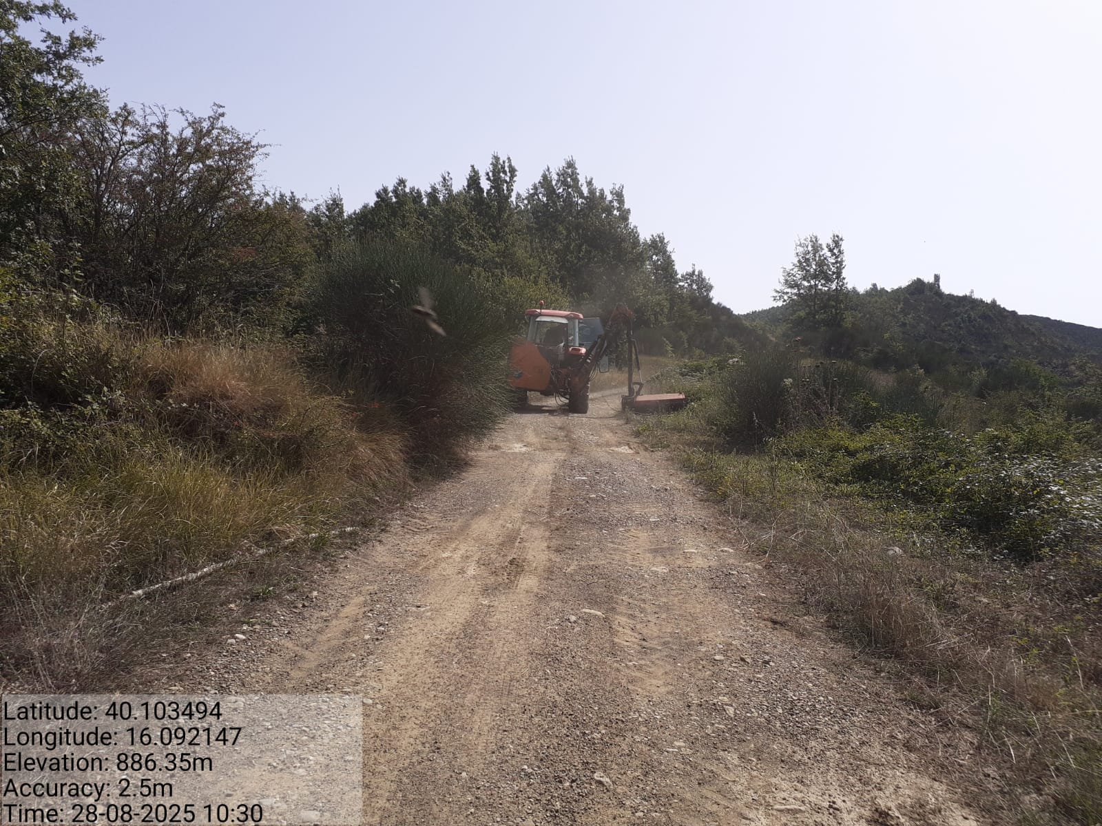 Galleria Fotografica Immagine