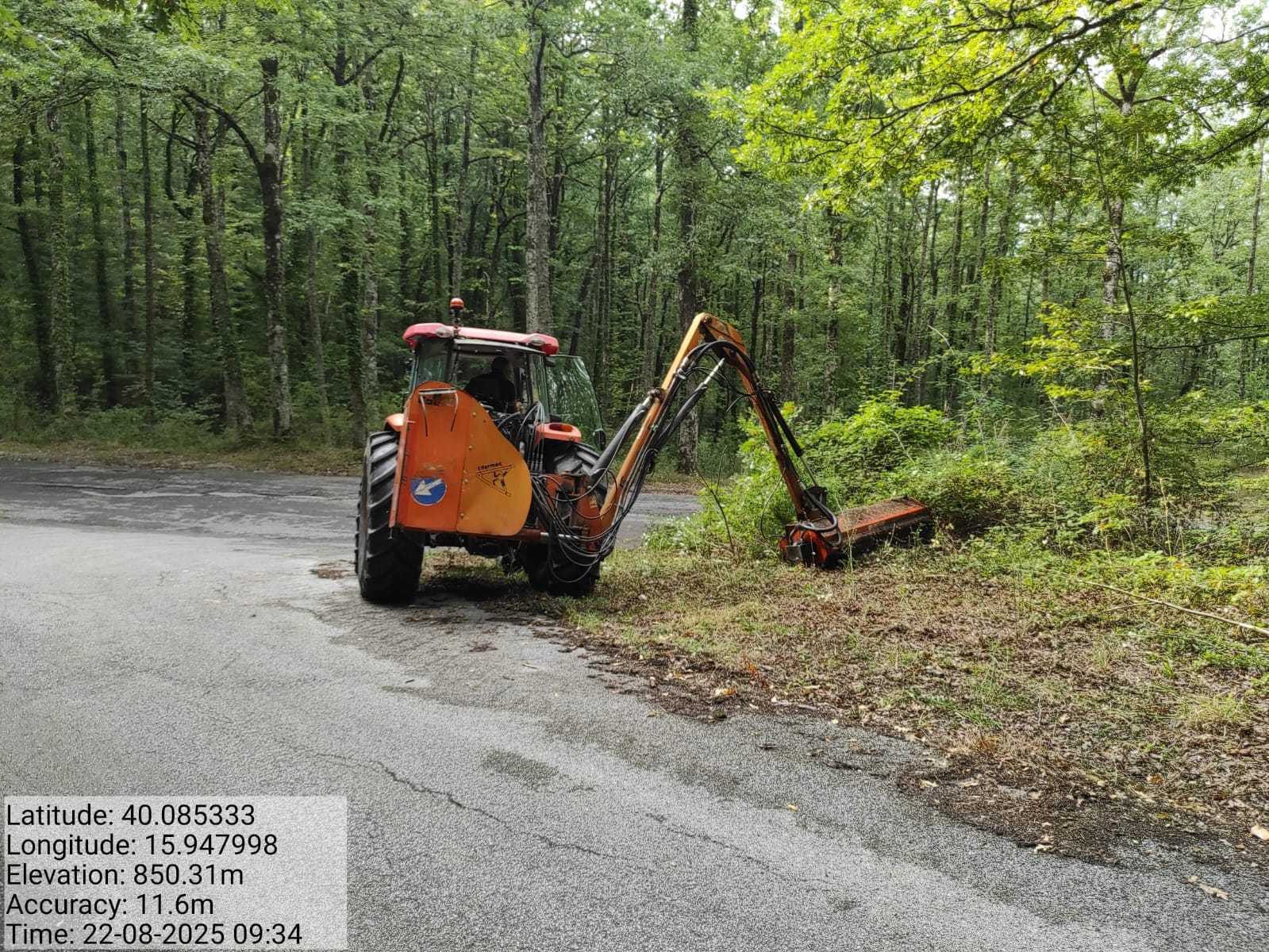 Galleria Fotografica Immagine