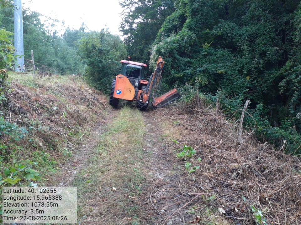 Galleria Fotografica Immagine