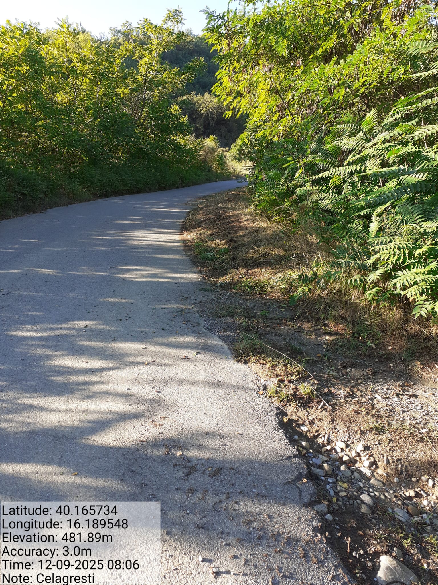 Galleria Fotografica Immagine