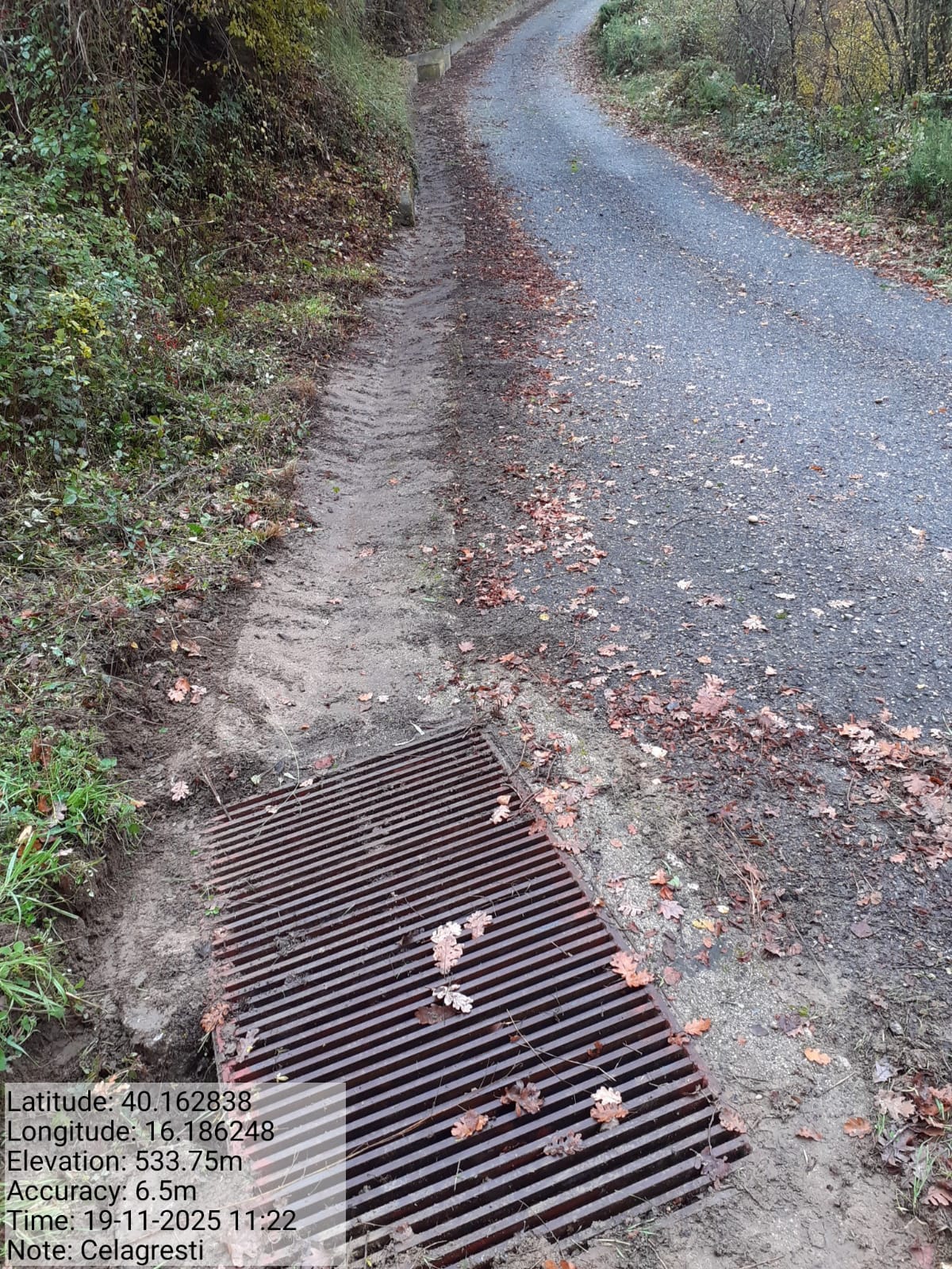 Galleria Fotografica Immagine