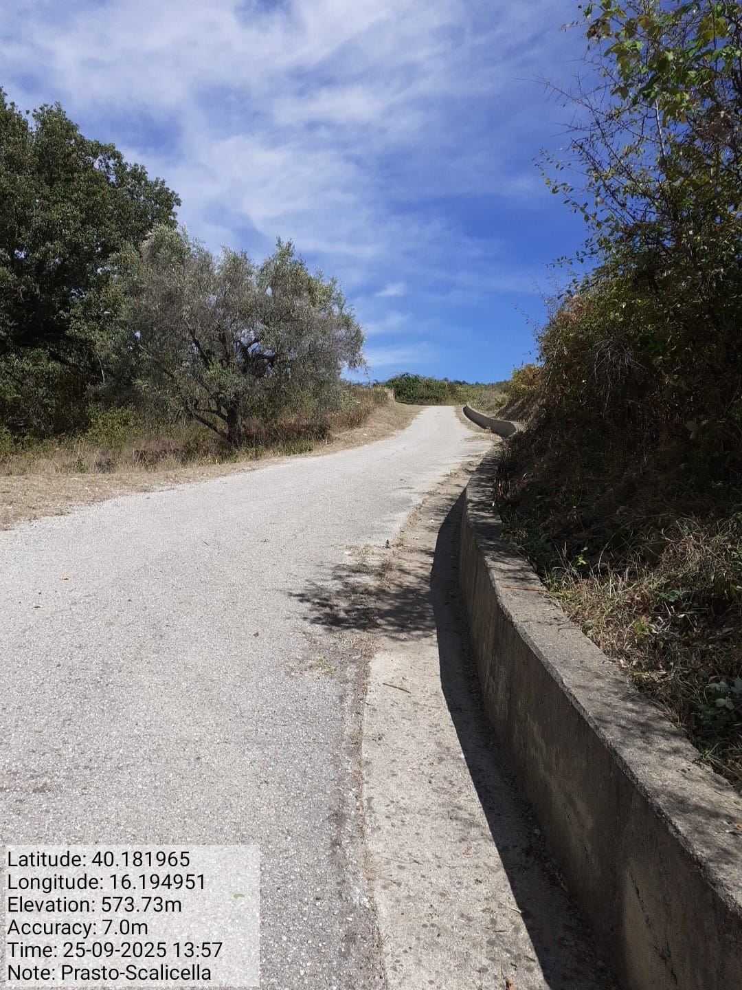 Galleria Fotografica Immagine