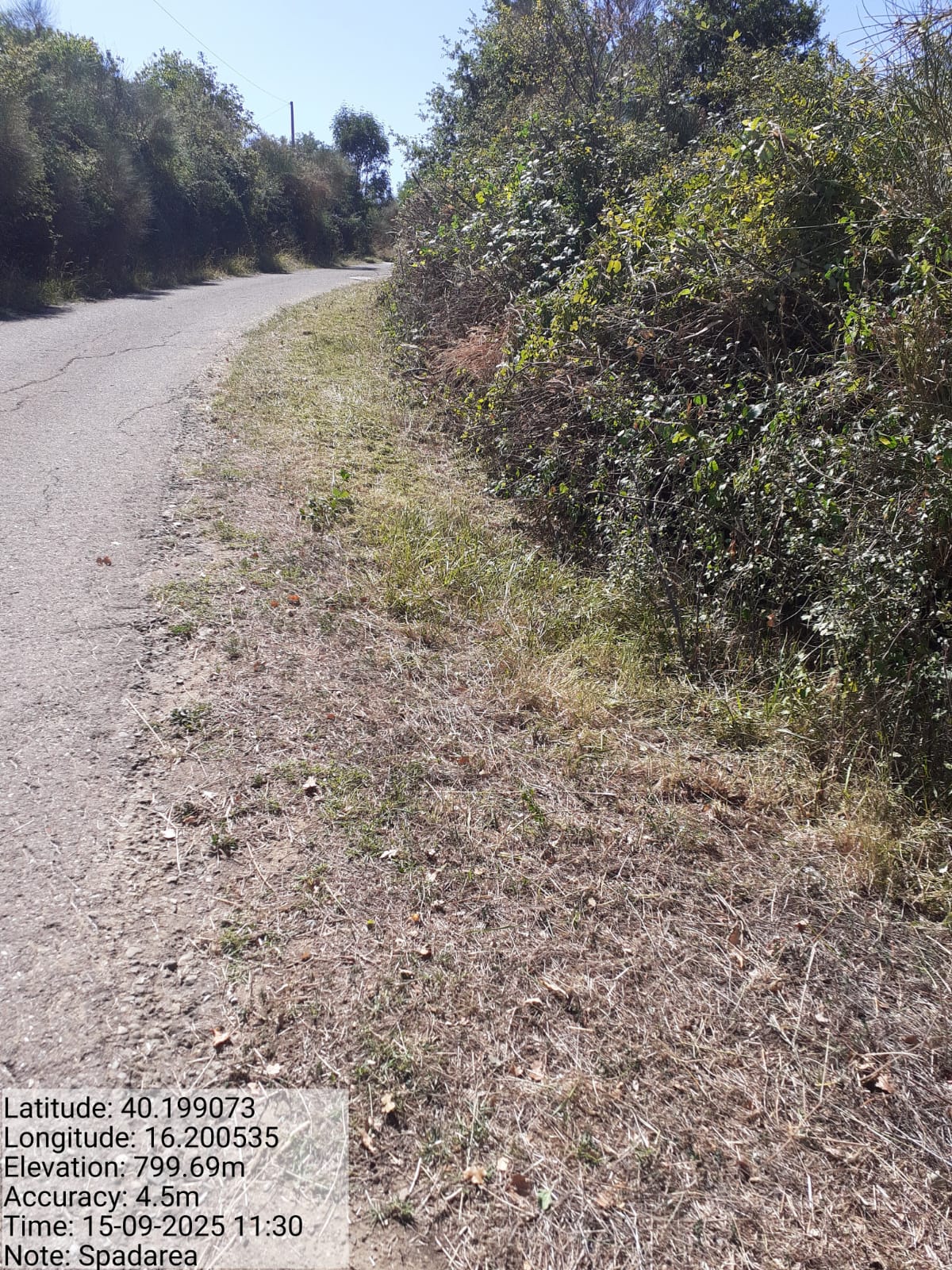 Galleria Fotografica Immagine