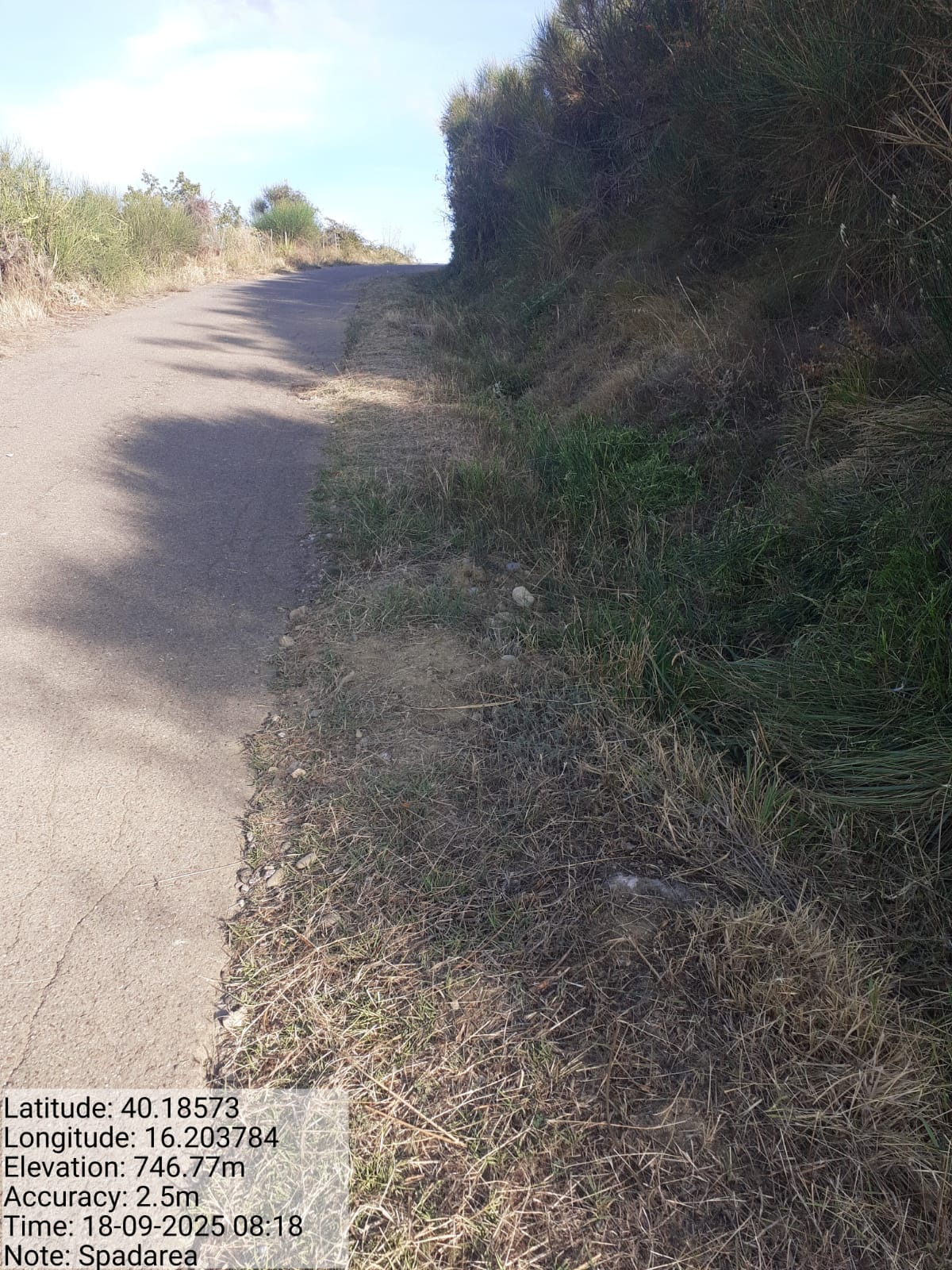 Galleria Fotografica Immagine