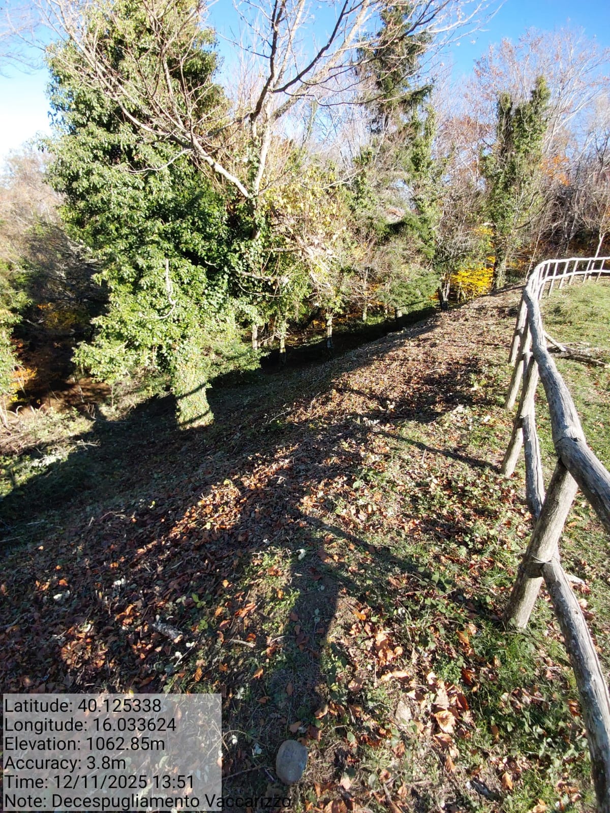 Galleria Fotografica Immagine