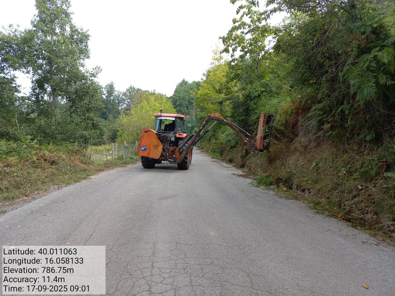 Galleria Fotografica Immagine