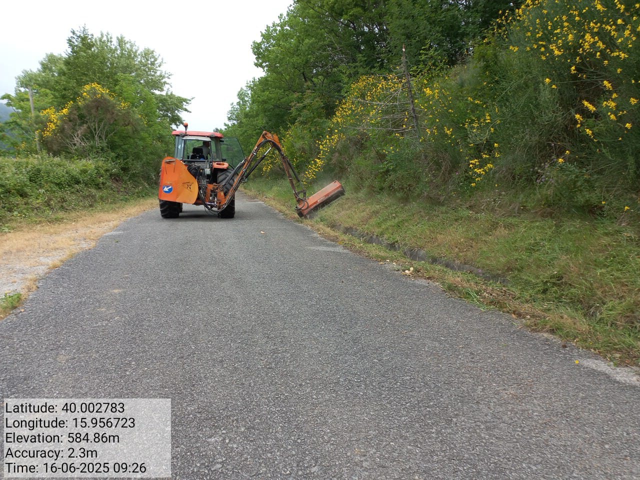 Galleria Fotografica Immagine