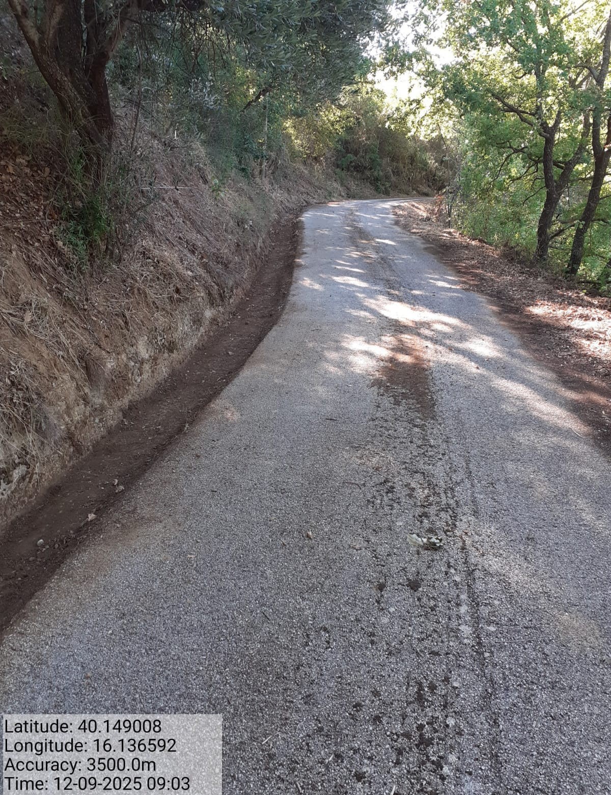 Galleria Fotografica Immagine