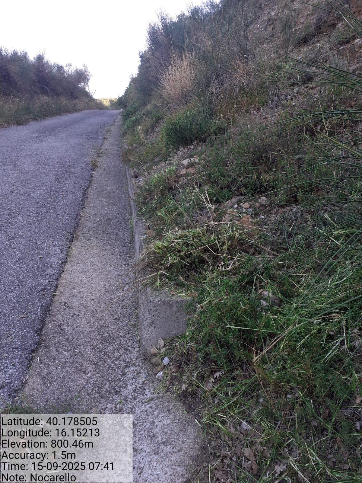 Galleria Fotografica Immagine