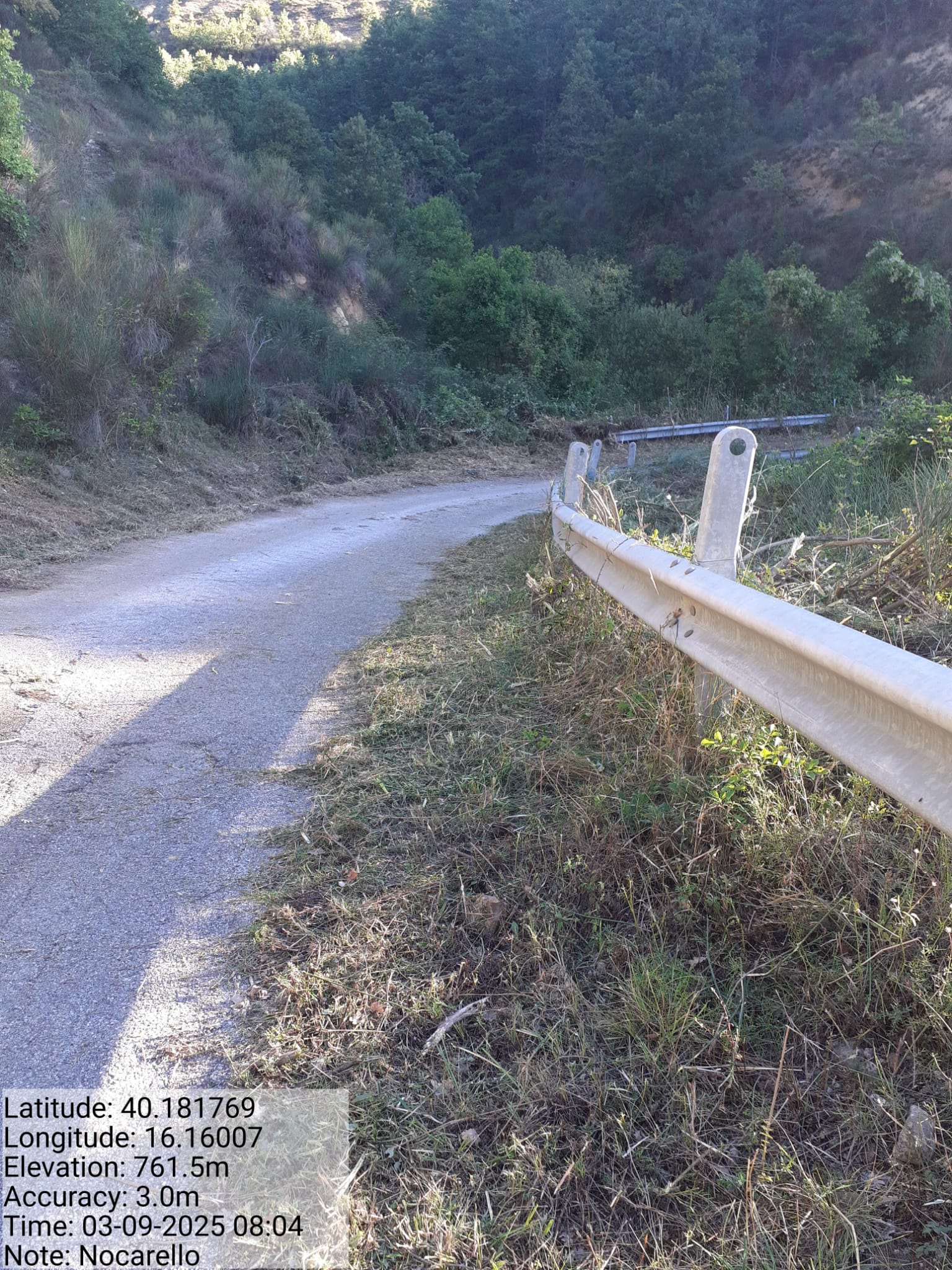 Galleria Fotografica Immagine