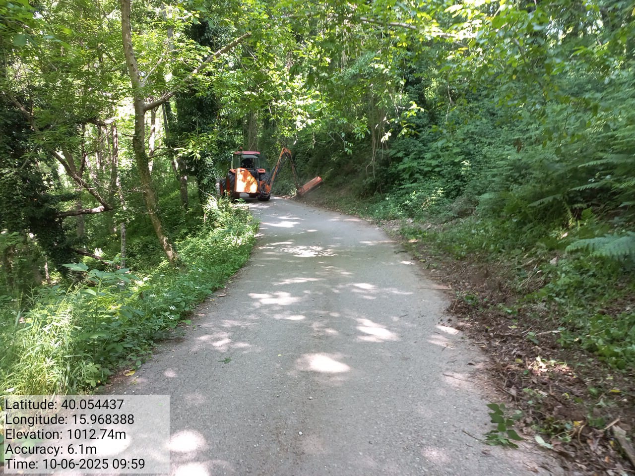 Galleria Fotografica Immagine