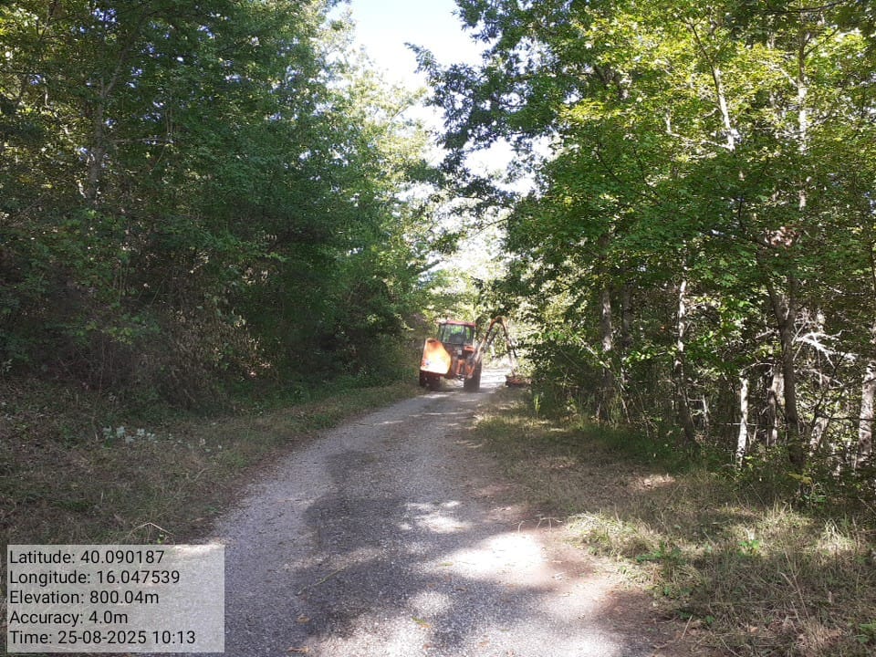 Galleria Fotografica Immagine