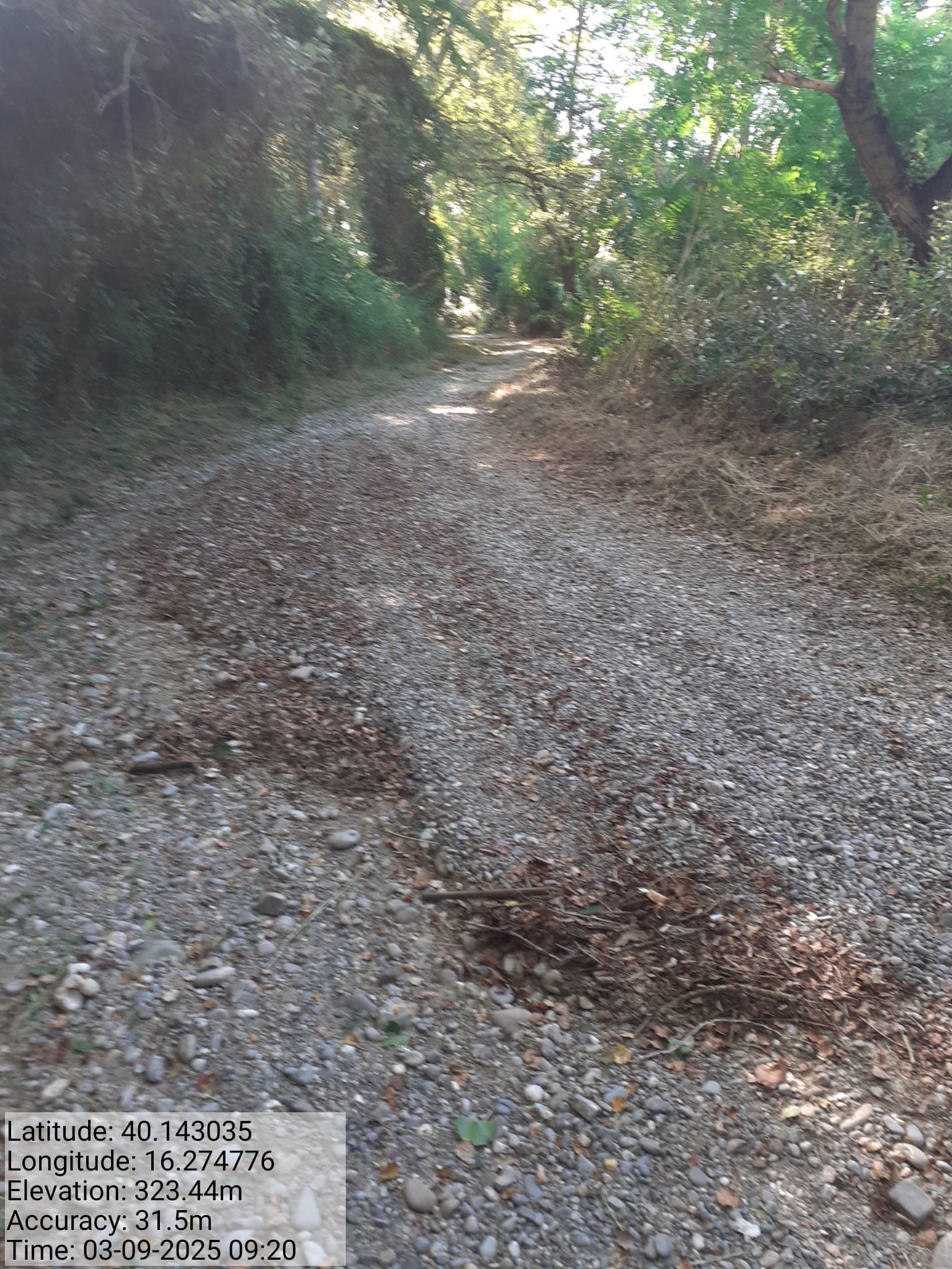 Galleria Fotografica Immagine