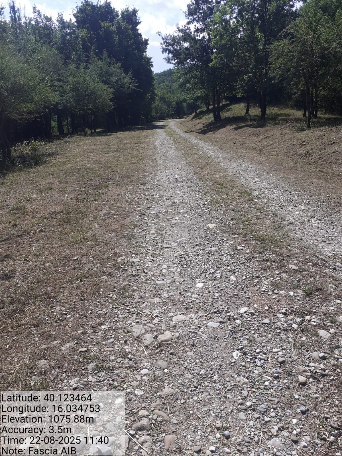 Galleria Fotografica Immagine