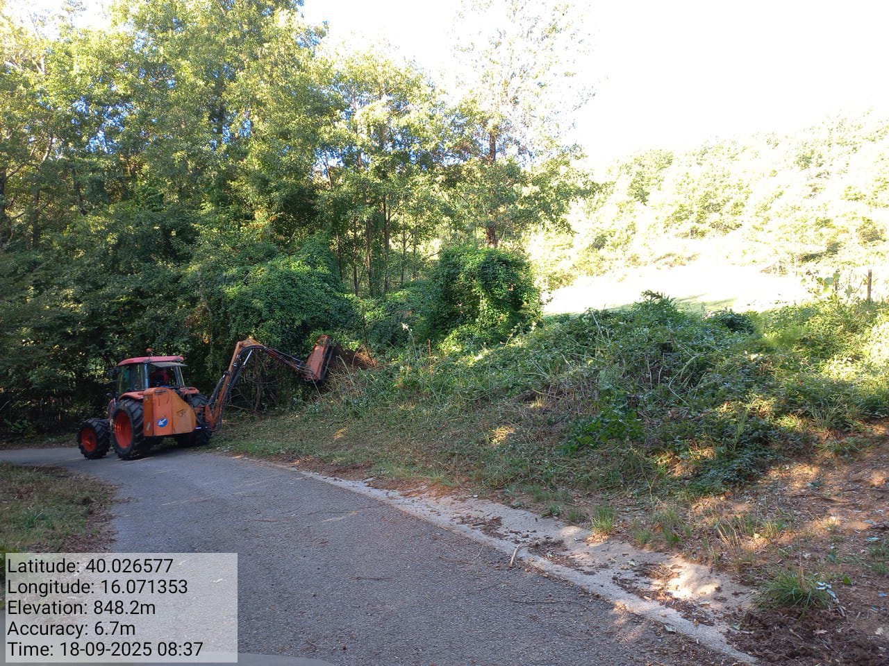 Galleria Fotografica Immagine