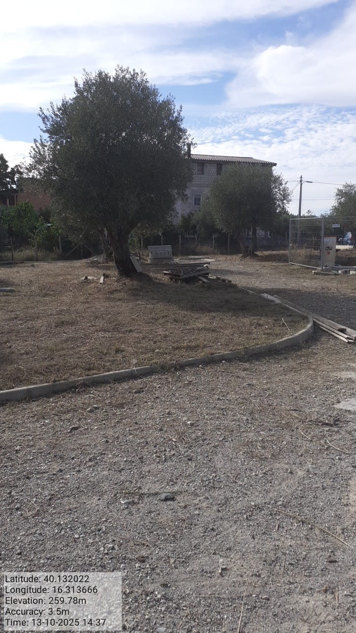 Galleria Fotografica Immagine