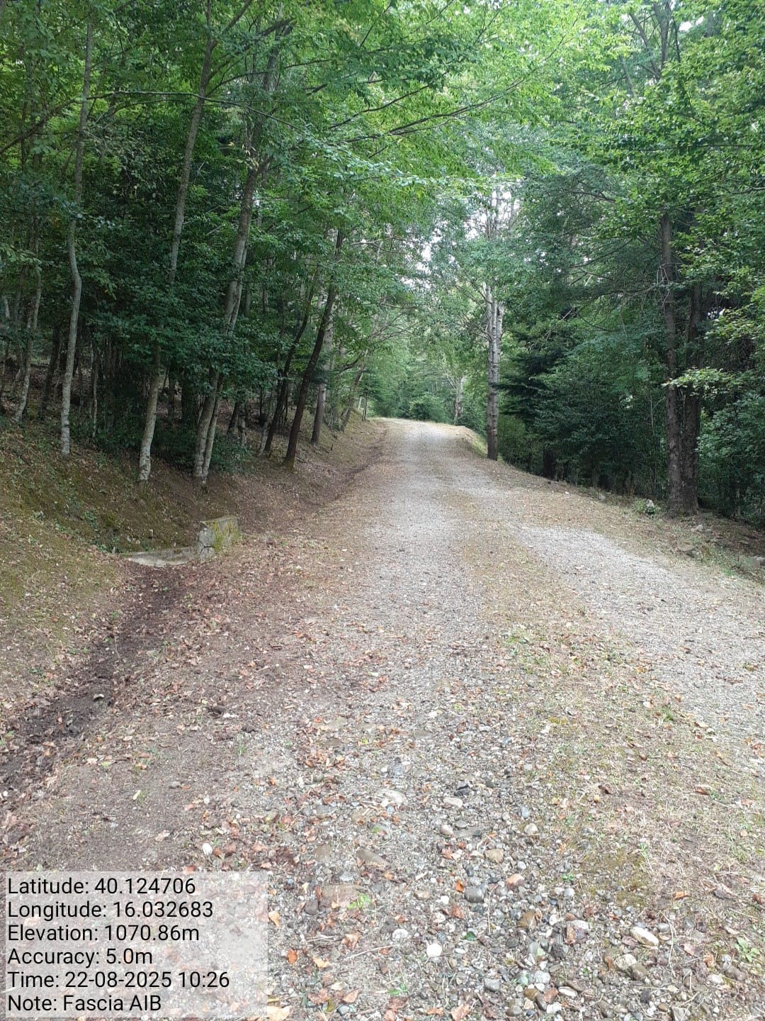 Galleria Fotografica Immagine