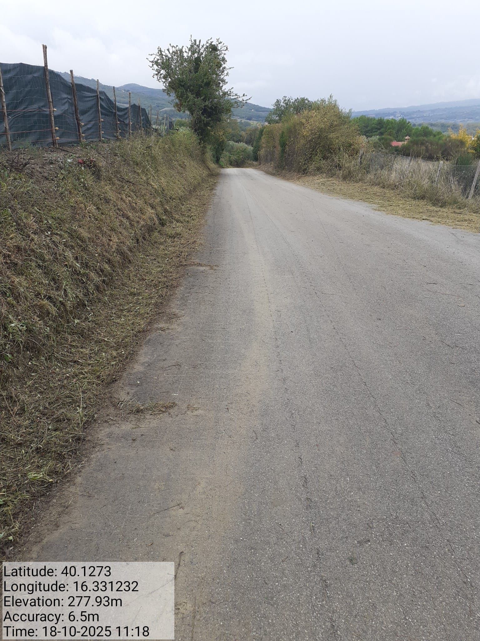 Galleria Fotografica Immagine