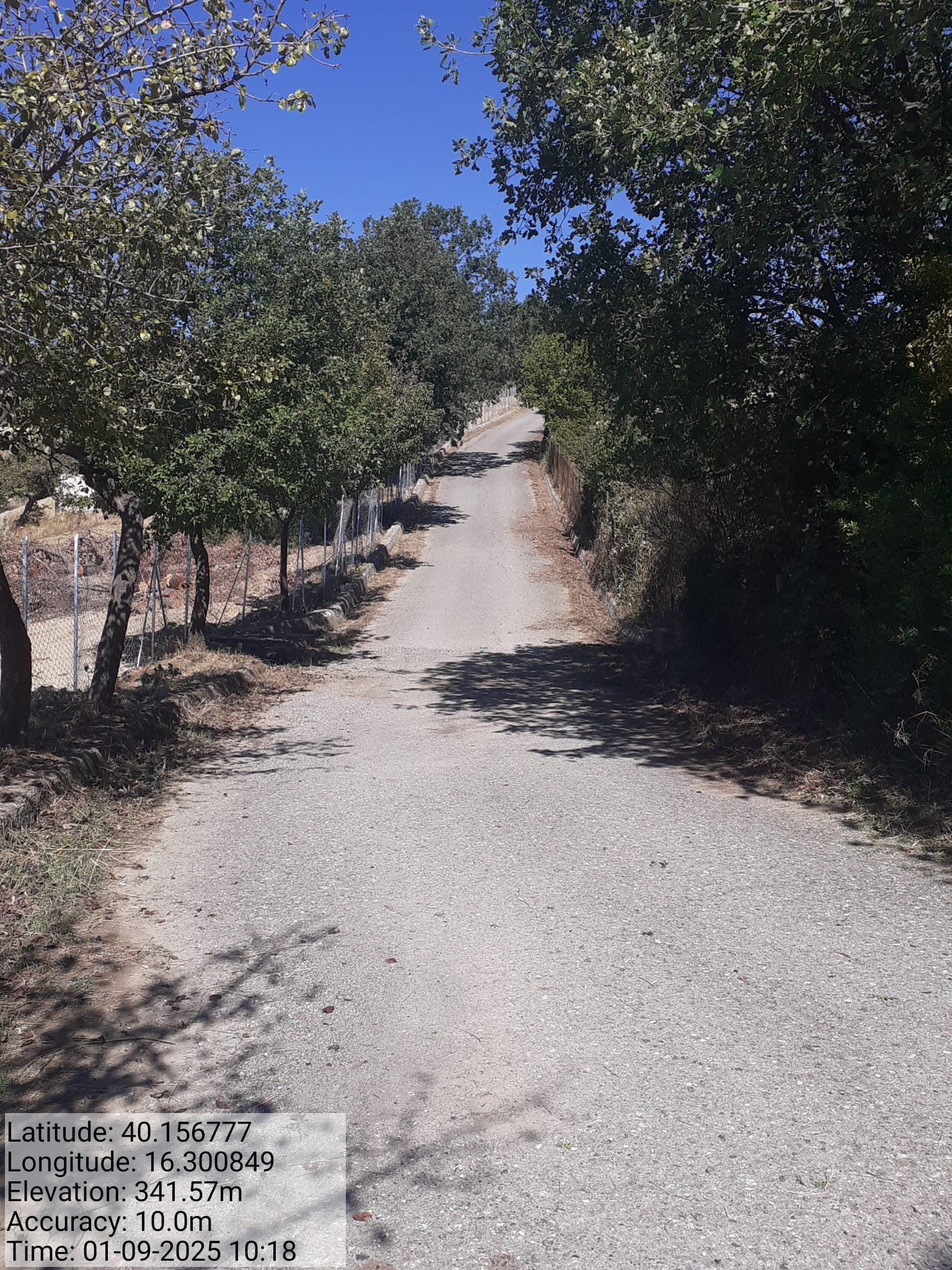 Galleria Fotografica Immagine