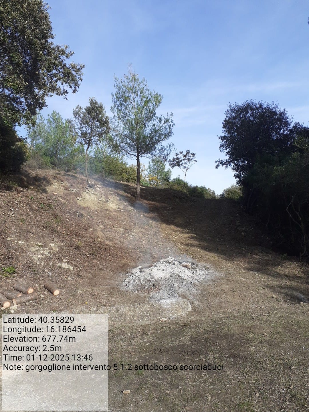 Galleria Fotografica Immagine