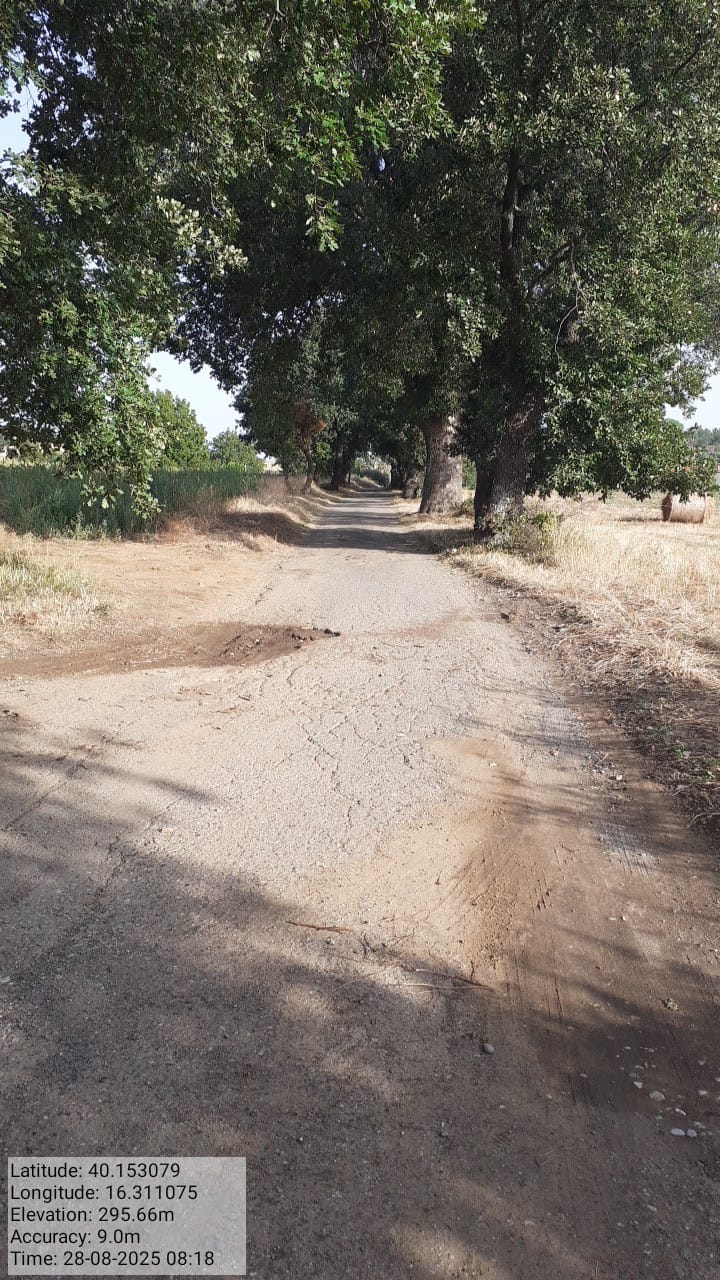 Galleria Fotografica Immagine