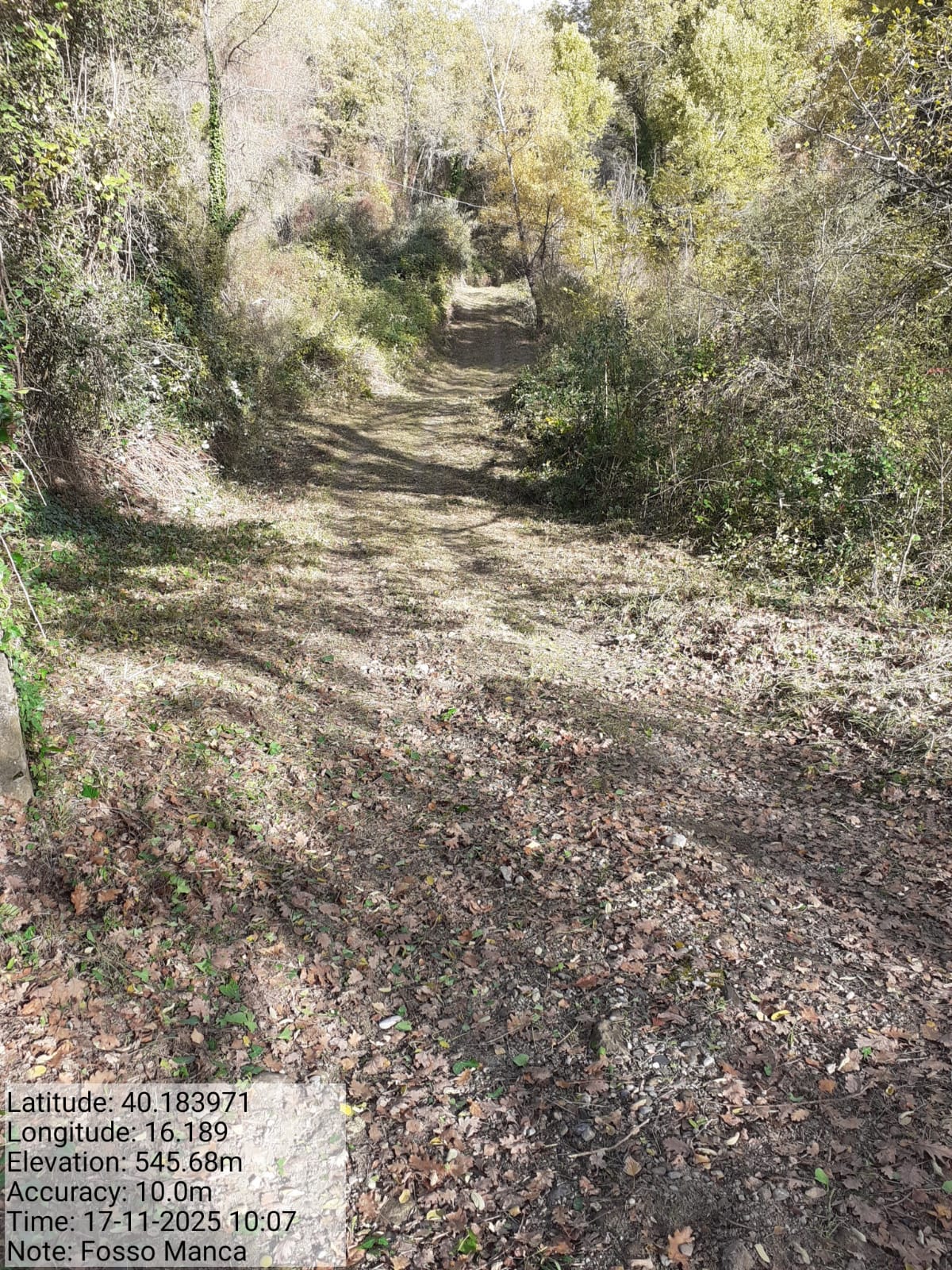 Galleria Fotografica Immagine