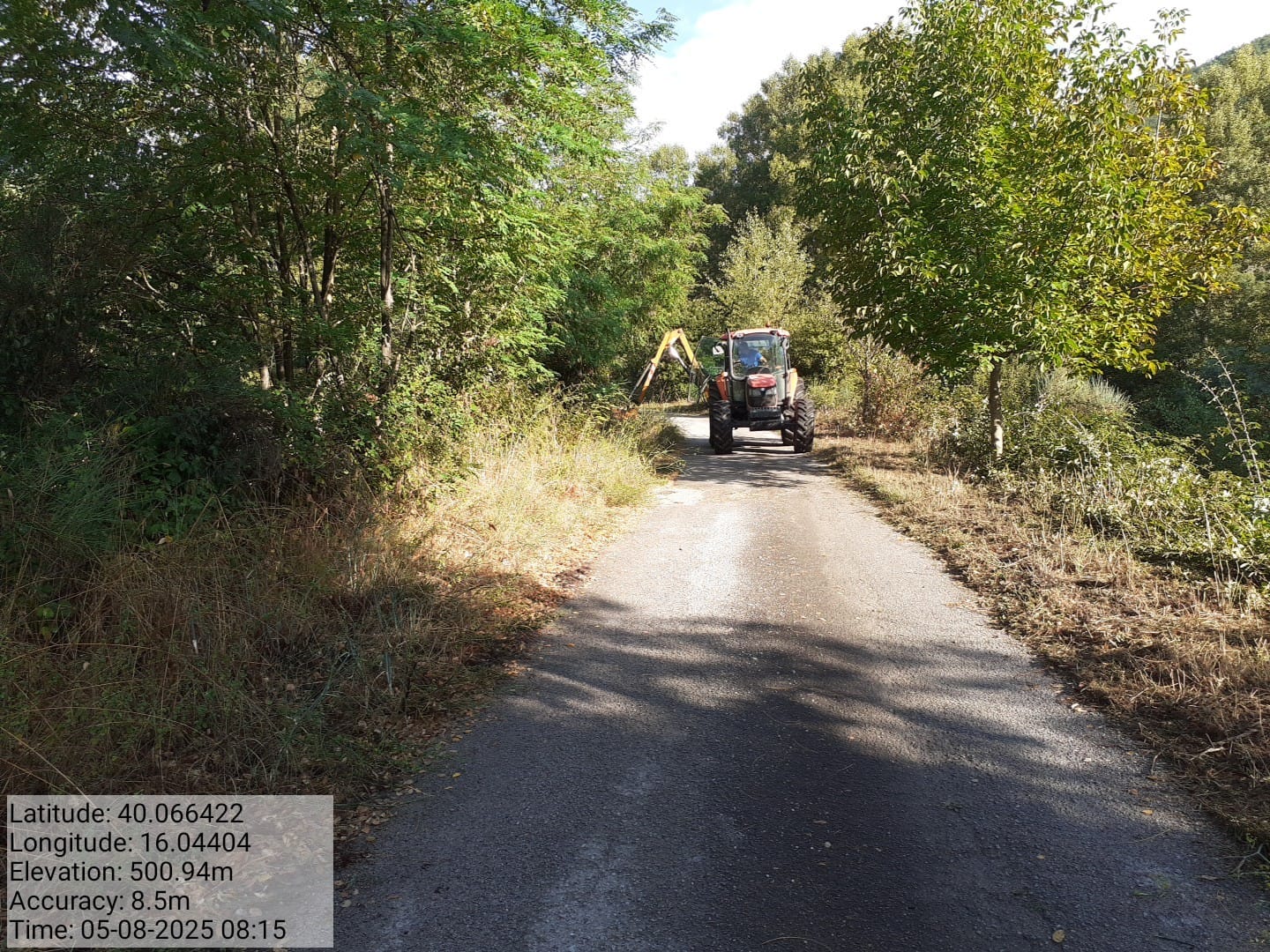 Galleria Fotografica Immagine