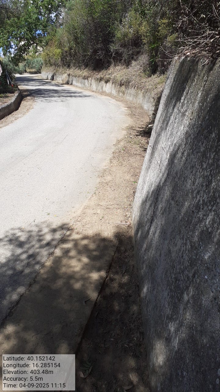 Galleria Fotografica Immagine