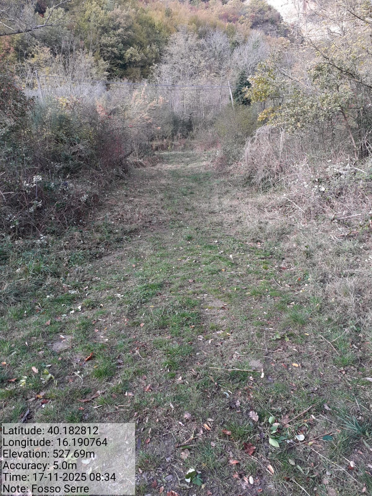 Galleria Fotografica Immagine