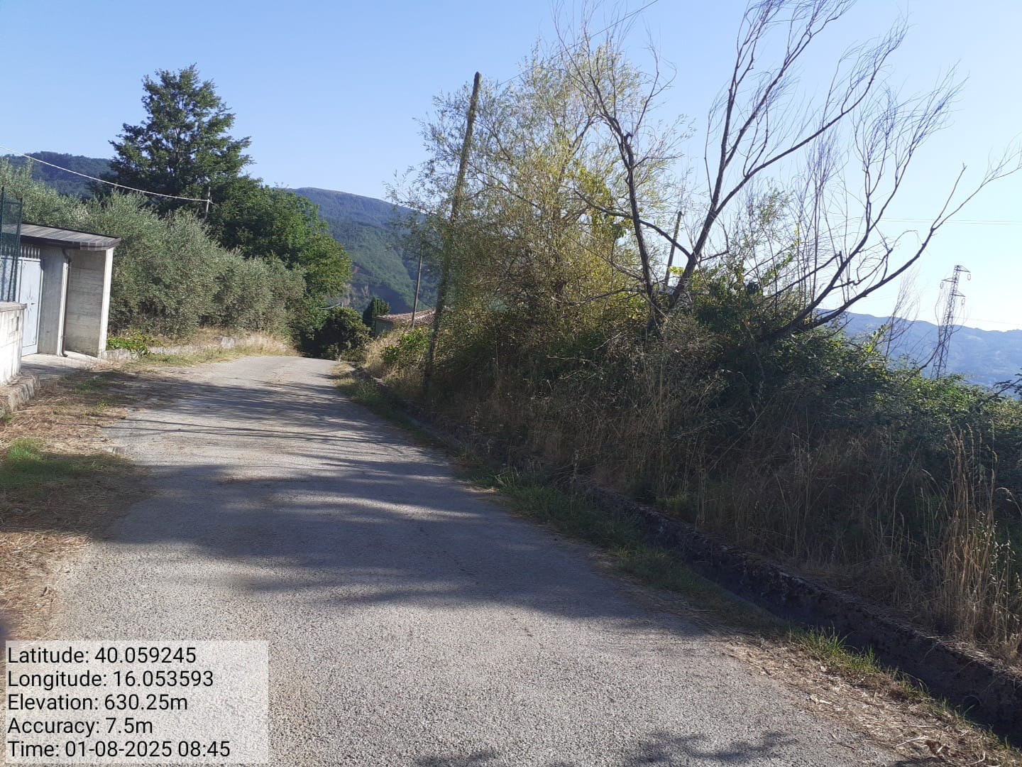 Galleria Fotografica Immagine