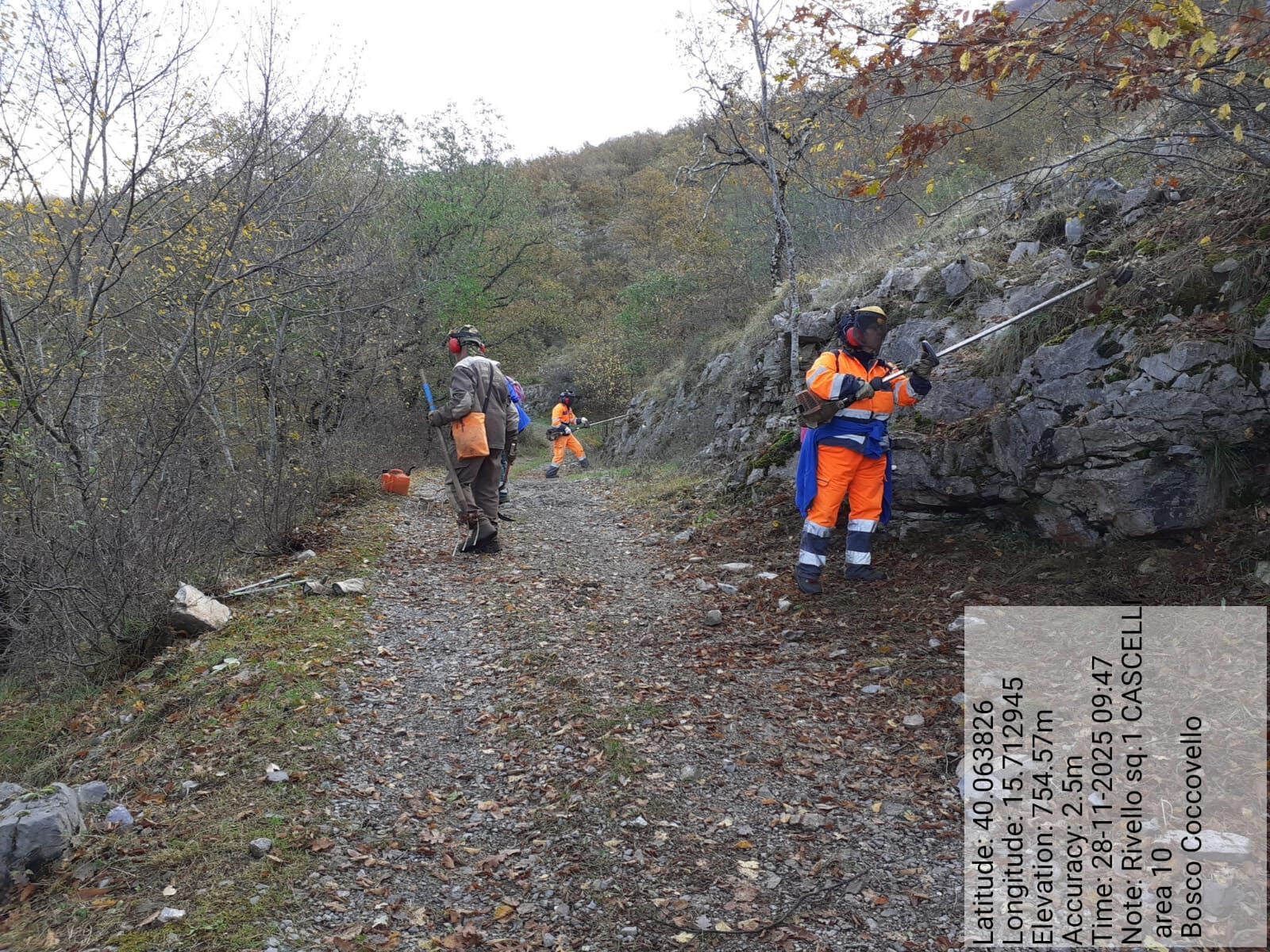 Galleria Fotografica Immagine