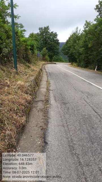 Galleria Fotografica Immagine