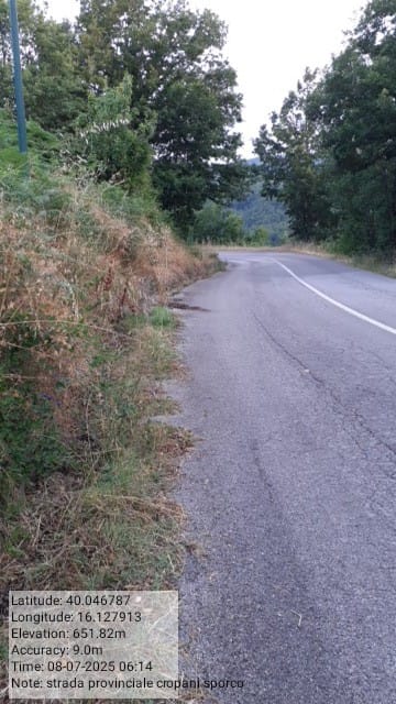 Galleria Fotografica Immagine