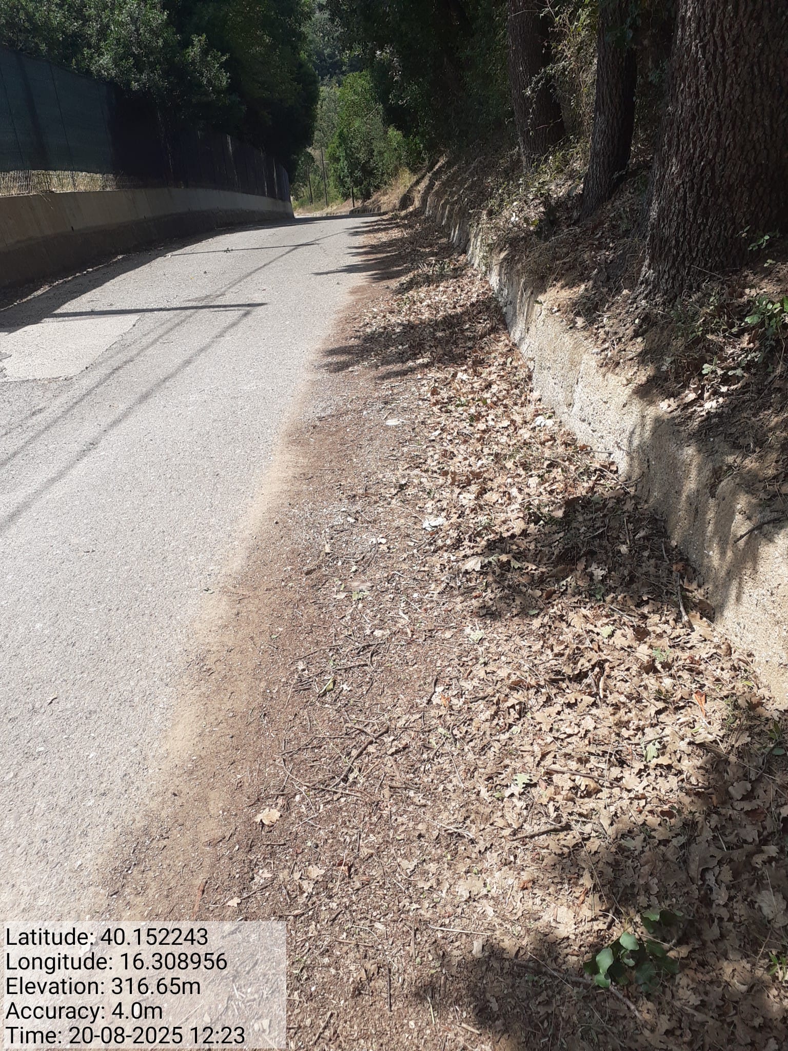 Galleria Fotografica Immagine