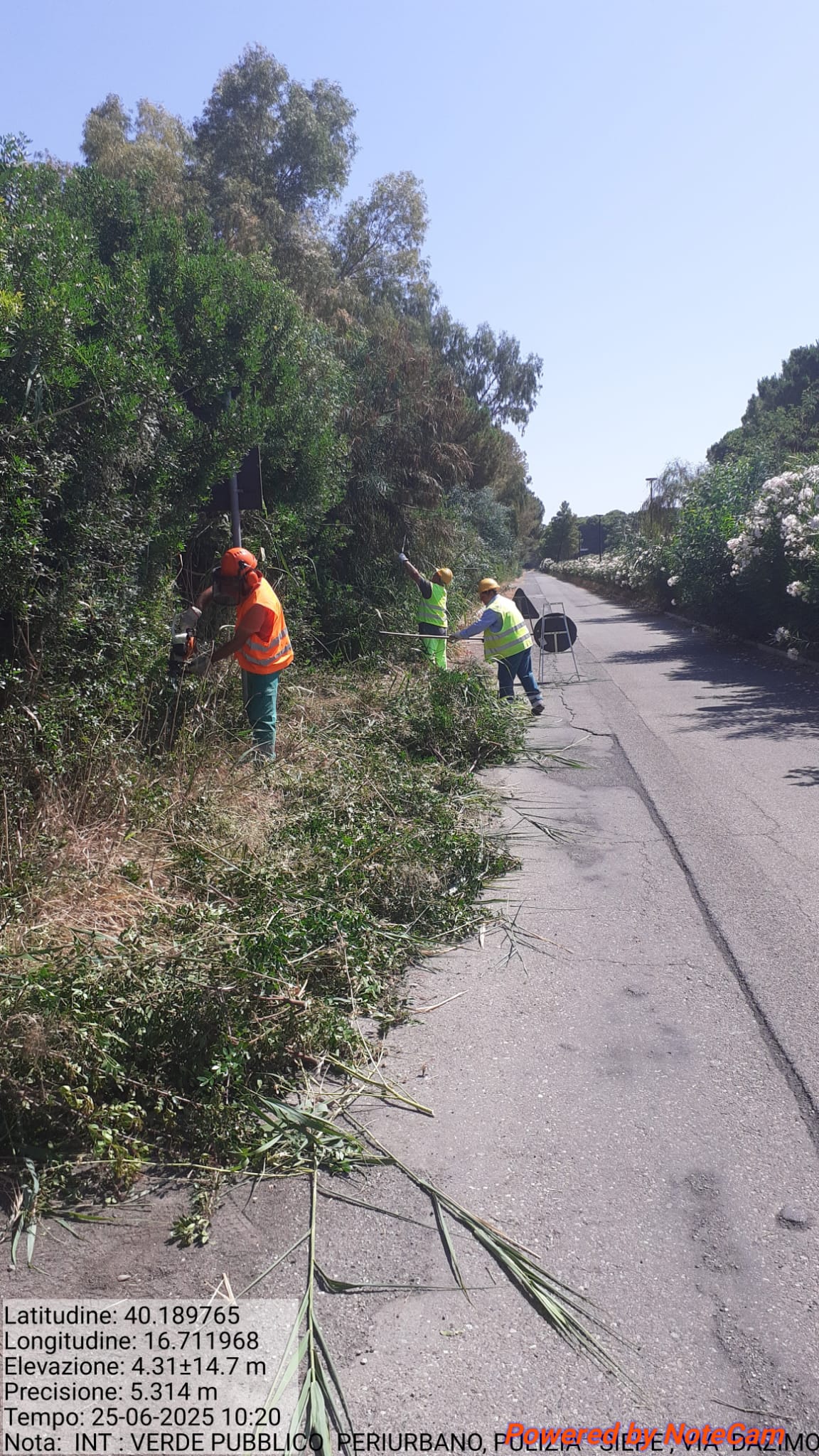 Galleria Fotografica Immagine